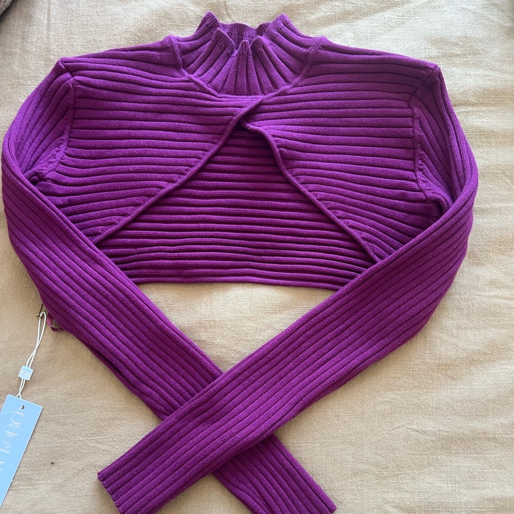 gorgeous ronny kobo crop sweater